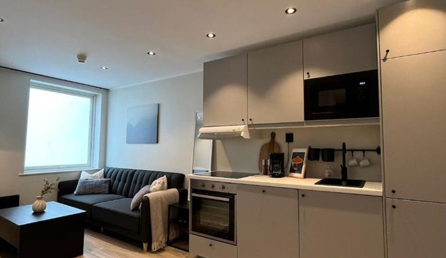 Affordable Luxury Apt - Hotel Vibe - Heart of Voss