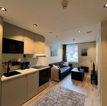 Affordable Luxury Apt - Hotel Vibe - Heart of Voss