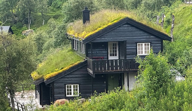 Amazing home in åseral with sauna