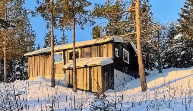 Amazing home in Bø i Telemark with sauna