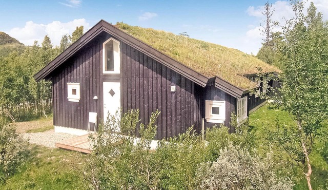 Amazing home in Gålå with sauna