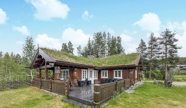 Amazing home in Gol with WiFi