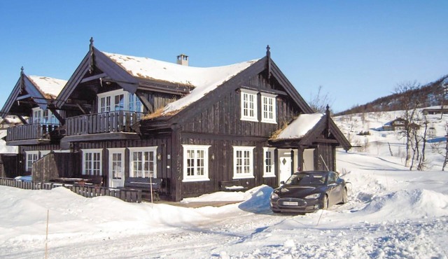 Amazing home in Rauland with kitchen