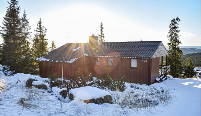 Amazing Home In Sjusjøen With Sauna