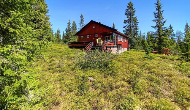 Amazing home in Sjusjøen with WiFi