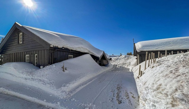Amazing home in Sjusjøen with sauna