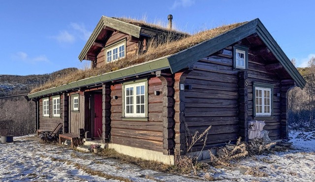 Amazing home in Ustaoset