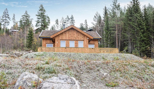 Amazing home in Vrådal with sauna