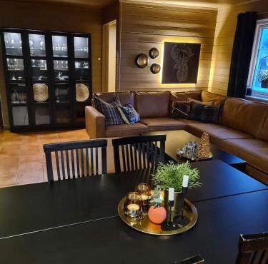 Apartment for rent in Gautefall, great location for skiing, hiiking and mountain biking, self serviced but housekeeping can be added for an extra fee