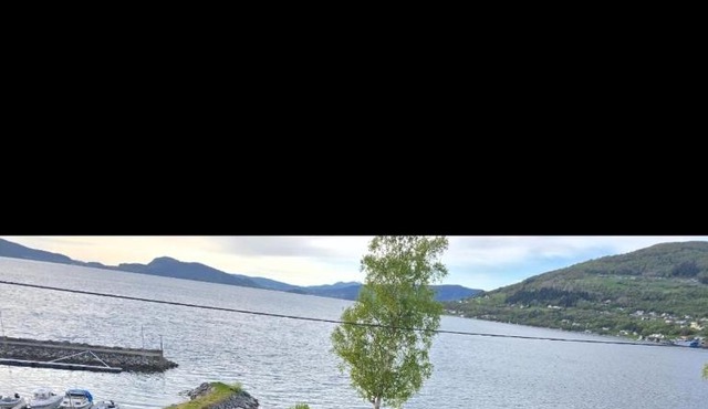 Apartment with a view of the fjord in Hundeidvik