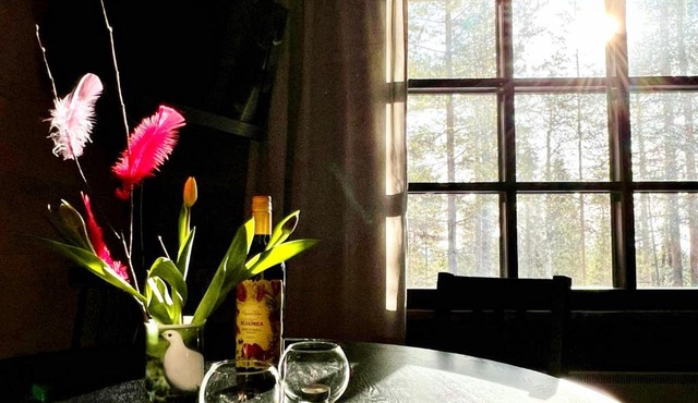 Arctic Lodges Family Studio by Lapland Villas, Pyhä - Lapland, Ski In in Pyhätunturi