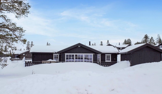 Awesome home in Engerdal with WiFi