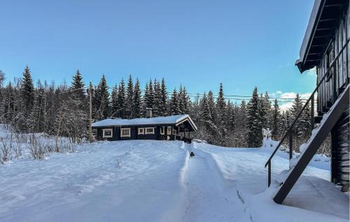 Awesome Home In Nybergsund With Wifi