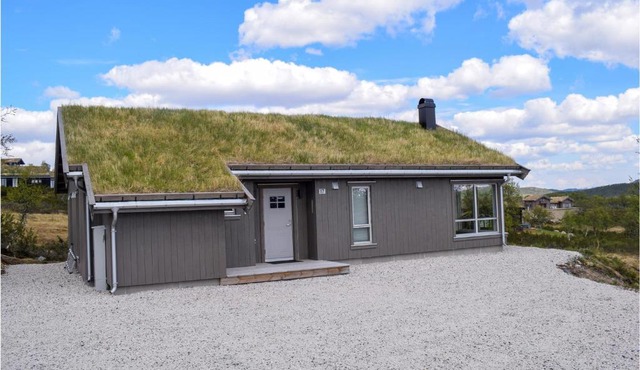 Awesome Home In Rauland With Kitchen