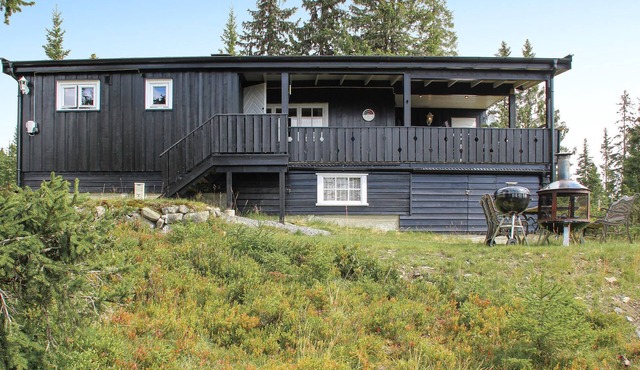 Awesome home in Sjusjøen with WiFi