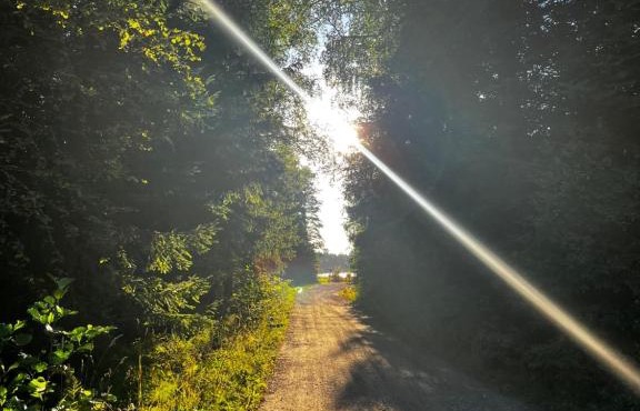 Bäcktorp in Mullhyttan