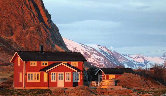 Beautiful cabin embraced by rich wildlife