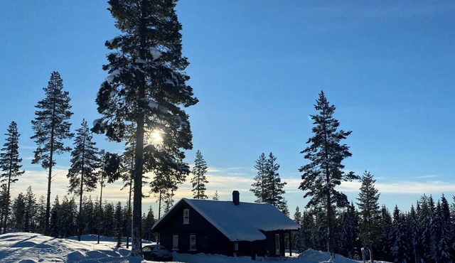 Beautiful forest cabin near ski trails