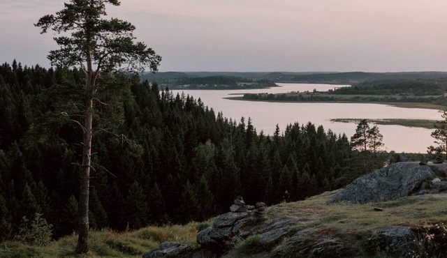 Beautiful holidays in nature with good opportunities for fishing in Gräsmark