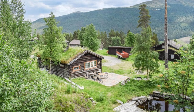 Beautiful home in Heidal