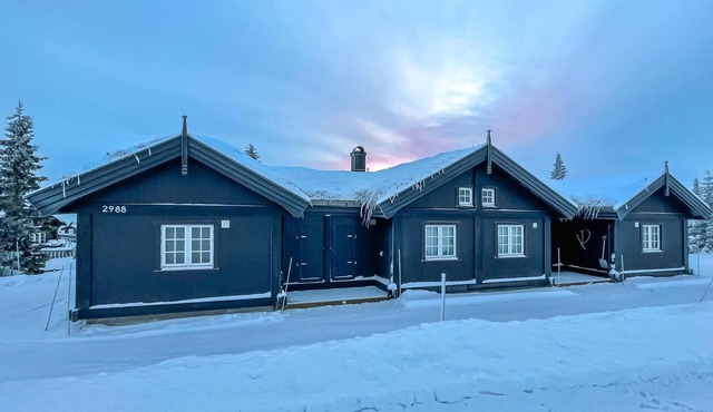 Beautiful home in Sjusjøen with WiFi