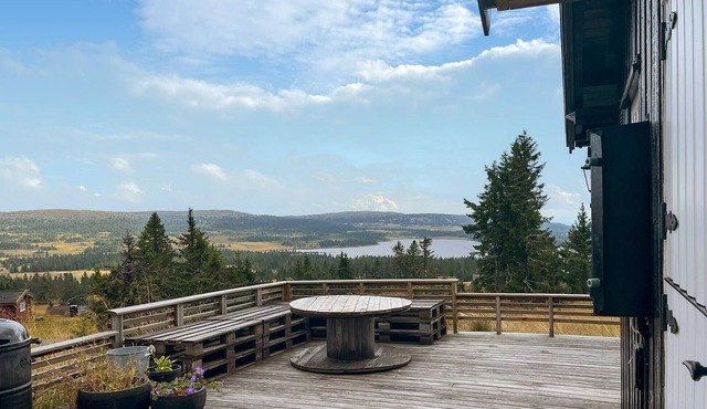 Beautiful home in Sjusjøen with WiFi