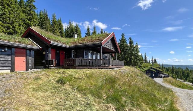 Beautiful home in Sjusjøen with sauna