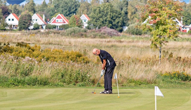 Best Western Hotell Hedåsen in Sandviken