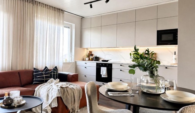 Borg Itsenäisyydenkatu, Centre Spacious 2-Room Apt, King Bed, Free Parking & Wifi in Pori