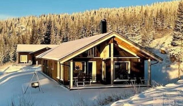 Brand new large cabin with sauna and ski in out