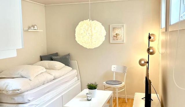 Bright and cozy studio - newly renovated bathroom and free parking