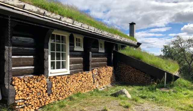 Budalen, spacious cabin close to skitracks