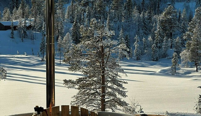 Cabin by Trillemarka nature reserve