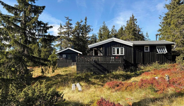 Cabin complex with ski-in access near Skeikampen in Tretten