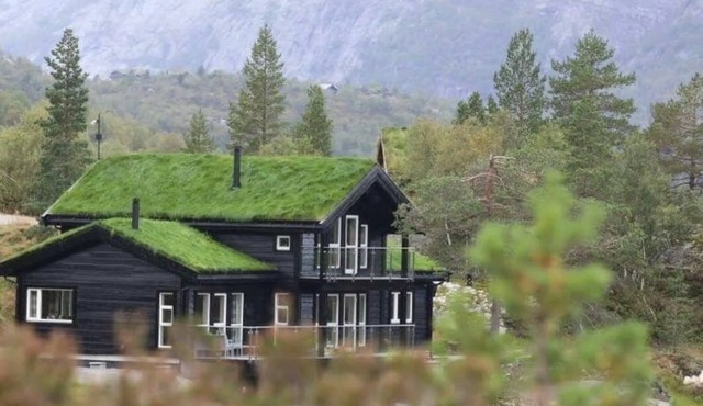 Cabin in the heart of Sirdal - ski in/ski out, great outdoor area with large jazzuci
