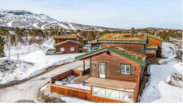 Cabin with sauna above tree line in Hovden