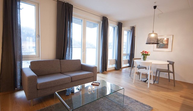 Central and modern apartment. Fully equipped and furnished. in Oslo