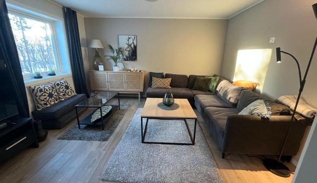 Central and spacious apartment in Alta