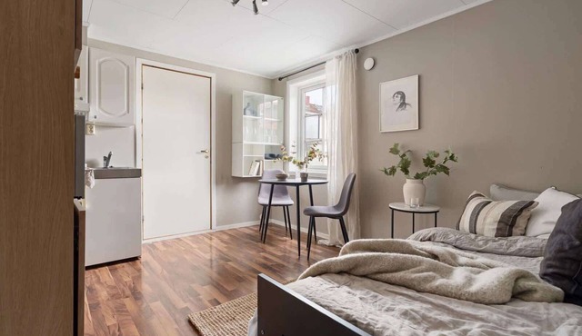 Central studio apartment
