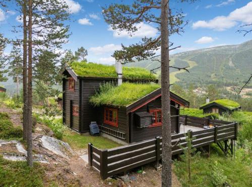 Charming cabin by Hallingskarvet ski center