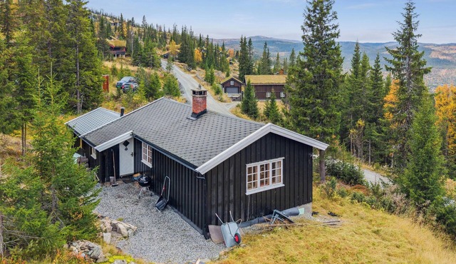 Charming cabin by Nesfjellet ski resort