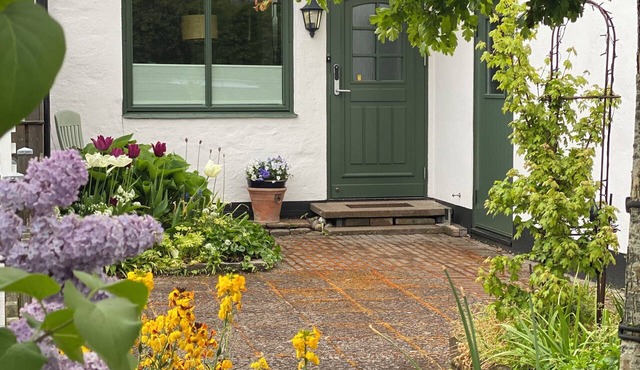 Charming house in central Ystad with a lush garden