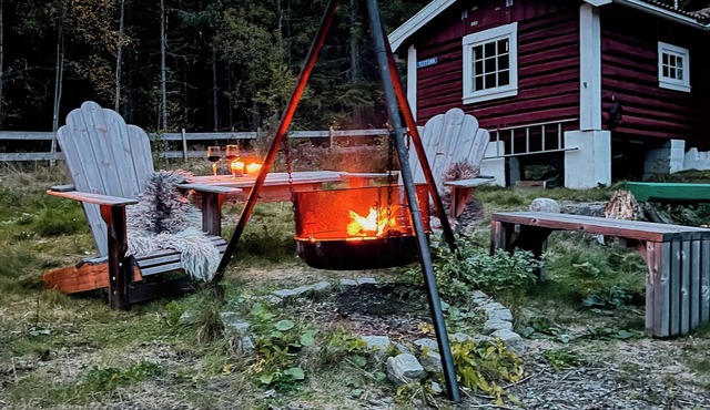 Charming old forest cabin an hour from Oslo