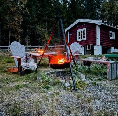 Charming Old Forest Cabin An Hour From Oslo