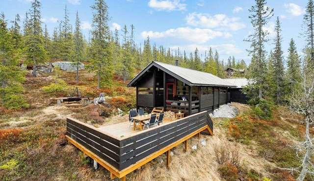 Close to nature in Ål cabin at Haglebu