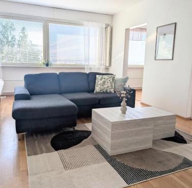 Comfy city apartment with sauna, private parking