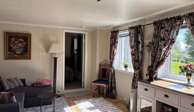 Cosy apartment in the heart of Lofoten