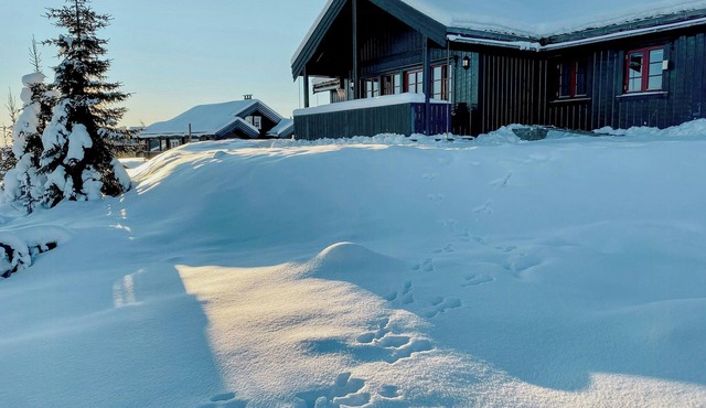 Cosy cabin by Golsfjellet ski resort
