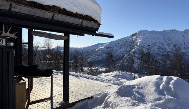 Cosy cabin in Hemsedal, ski in/ski out to Solheisen