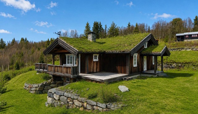 Cosy mountain cabin in Golsfjellet